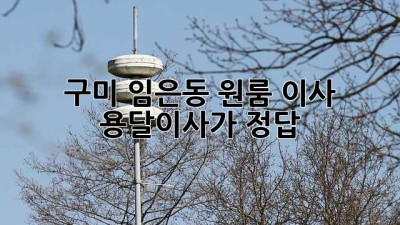 구미 임은동 원룸 이사? 용달이사가 정답!