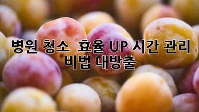 병원 청소 🧹 효율 UP! 시간 관리 비법 대방출 ⏱️